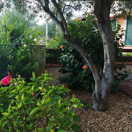 Villa La Casa Nel Borgo à Chia Extérieur photo