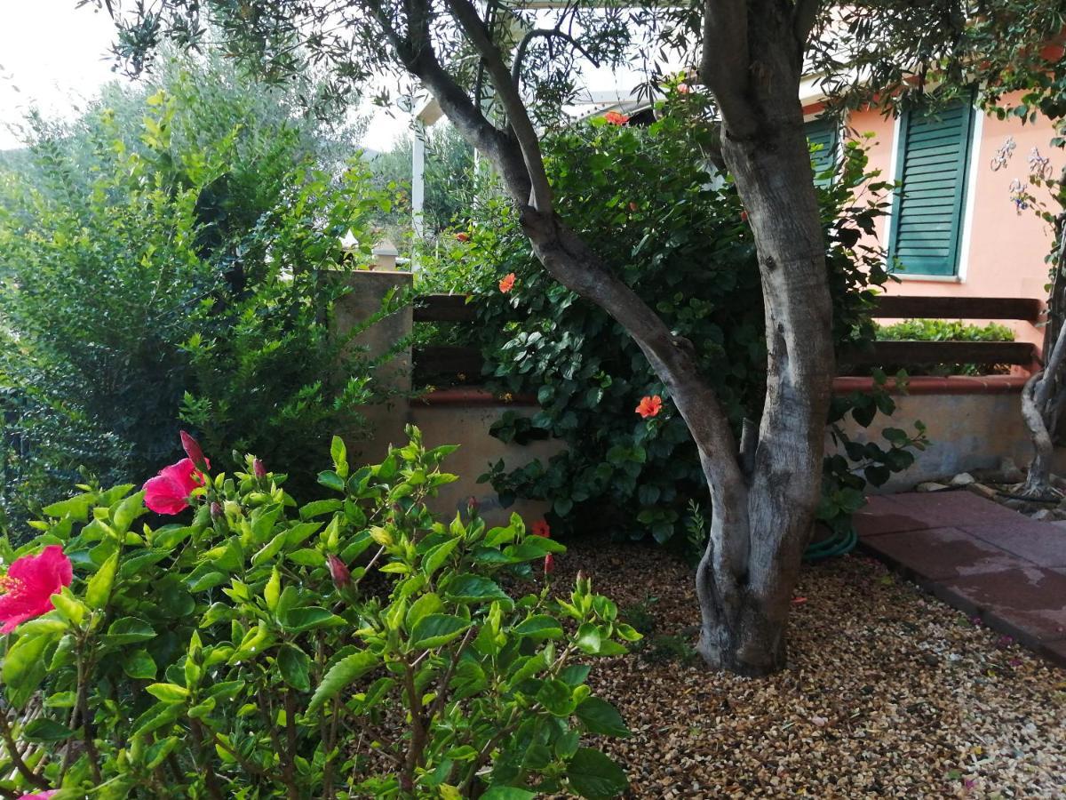 Villa La Casa Nel Borgo à Chia Extérieur photo